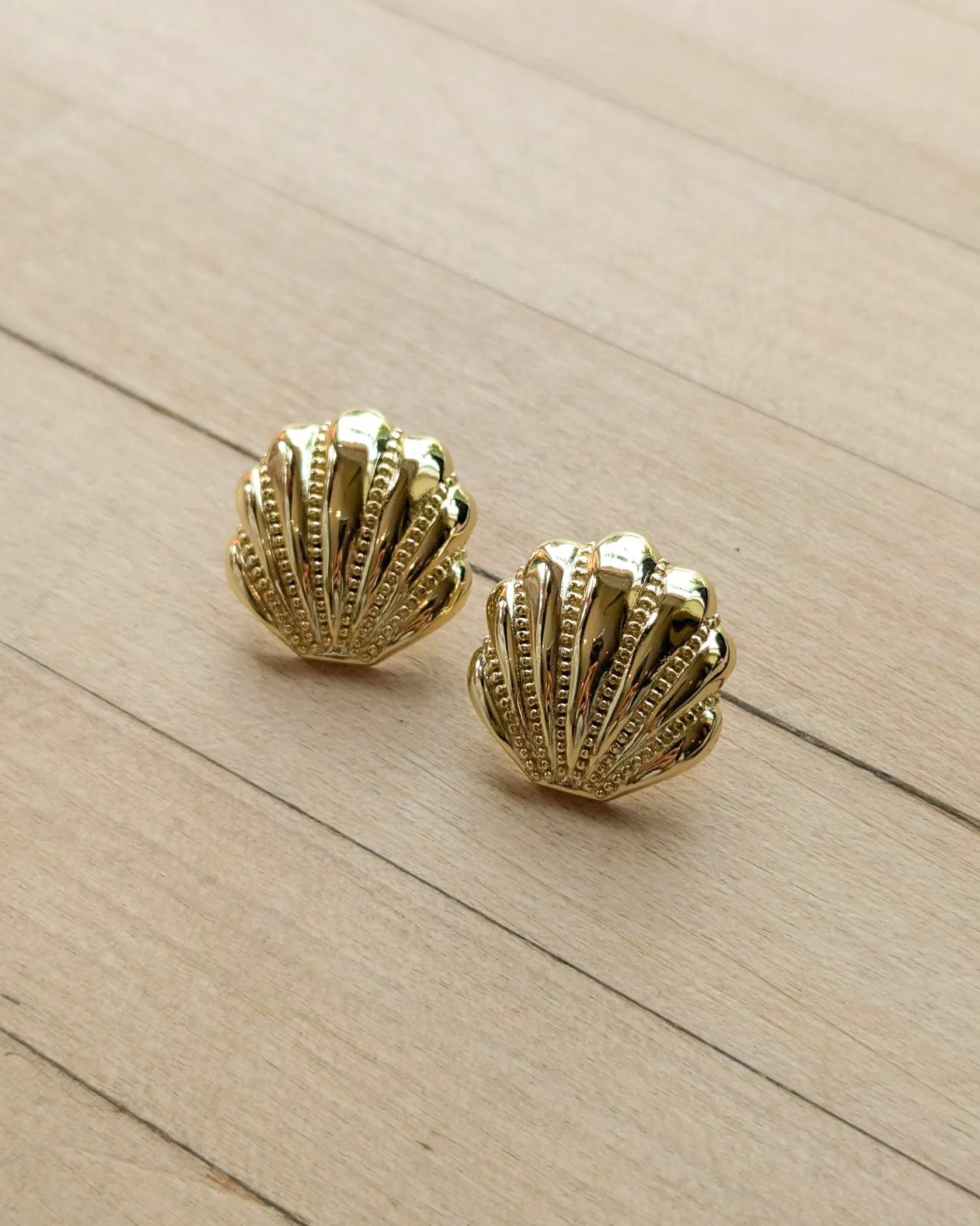 Scallop Shell Stud Earrings