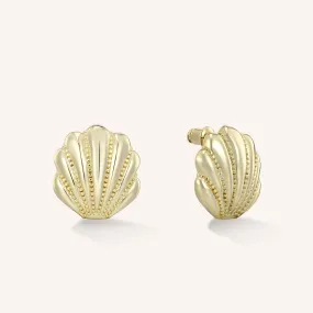 Scallop Shell Stud Earrings